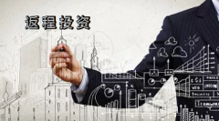 企業利用離岸公司進行返程投資有哪些方式和目的？