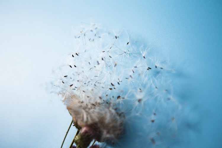 什么情況下需要做香港律師公證