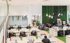 香港公司沒有按時(shí)做賬審計(jì)，后果竟然是這樣...